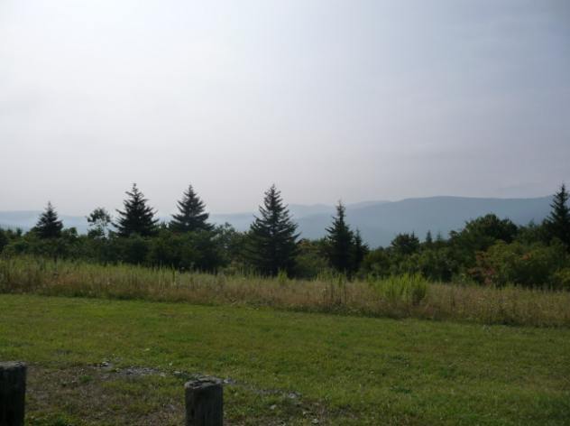 P1000242e.jpg
