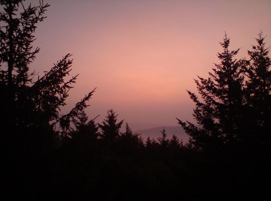 dsc00034.jpg