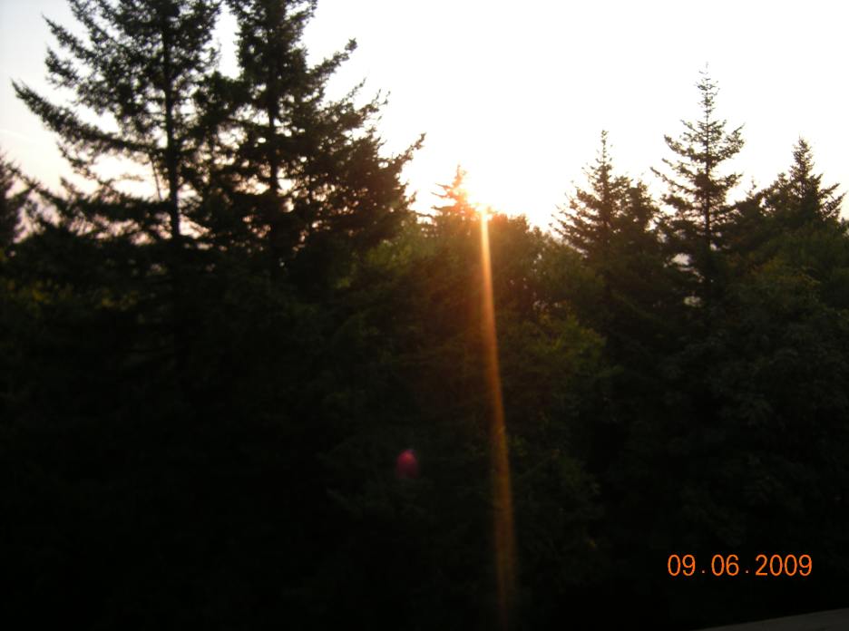 DSCN3461.JPG