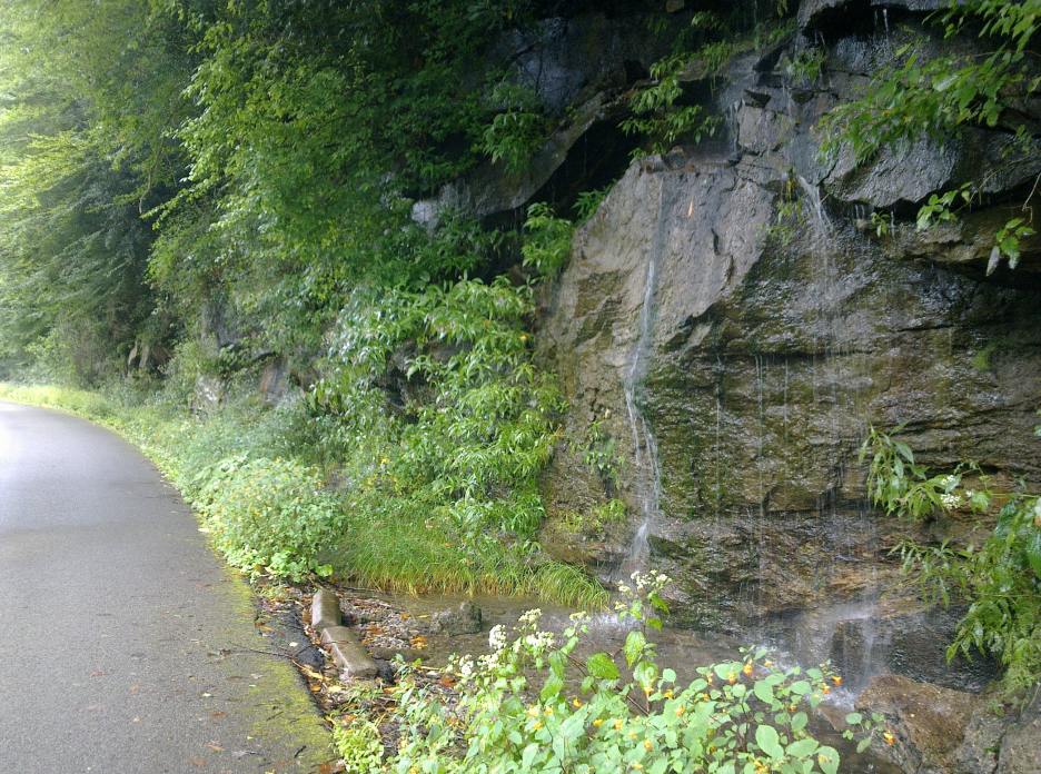20130901683.jpg