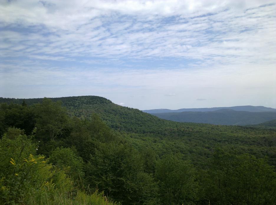 20130901695.jpg