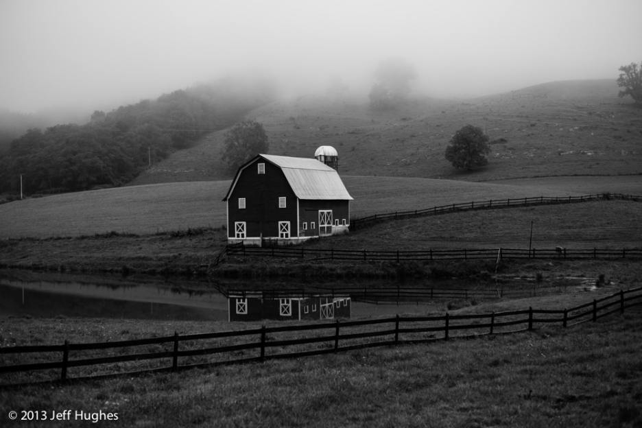 L1013270.jpg