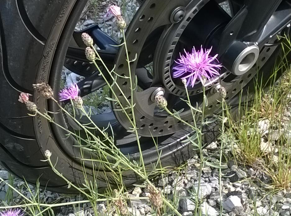 WP_20140830_012.jpg