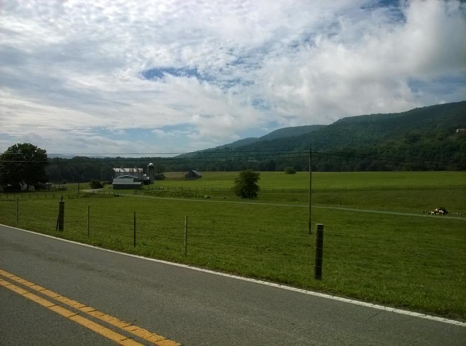 WP_20140831_019.jpg