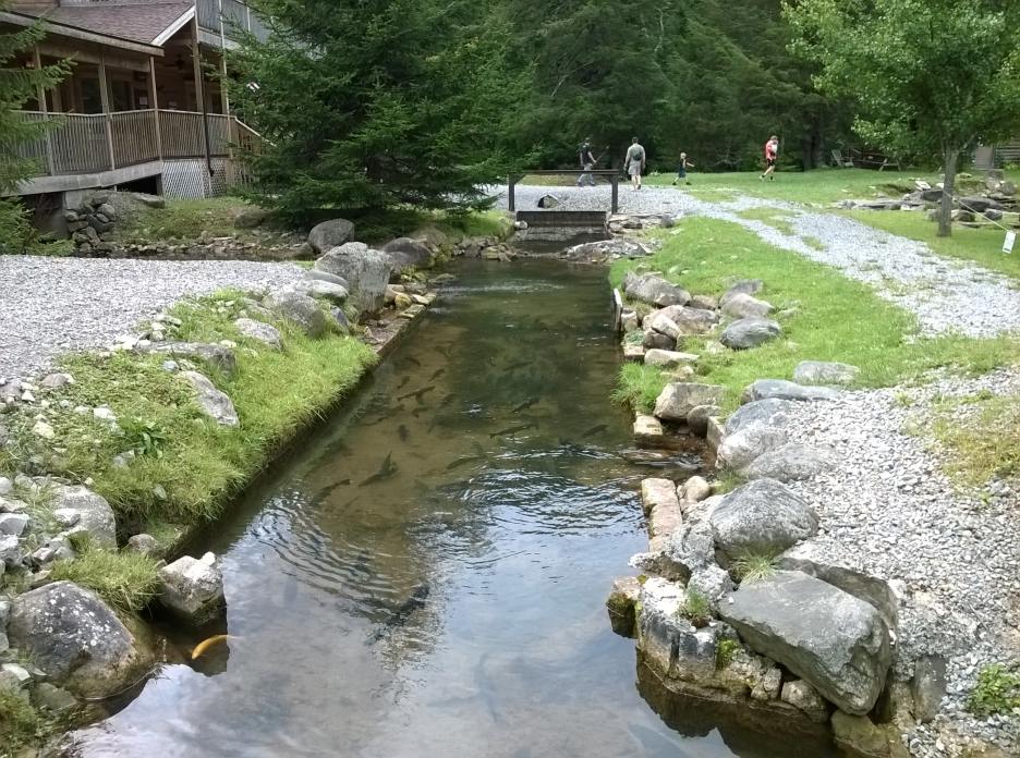 WP_20140831_046.jpg