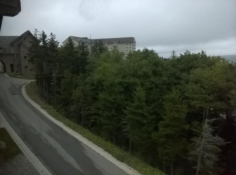 WP_20140831_080.jpg