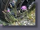 WP_20140830_012.jpg