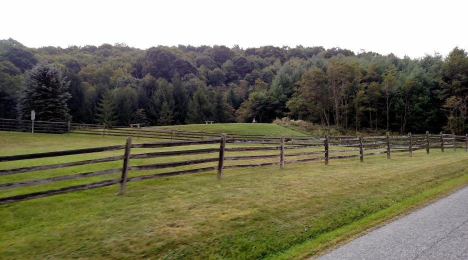 IMG_20150905_111907476.jpg