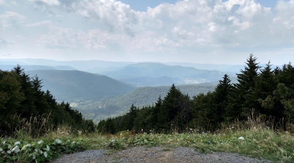 IMG_20150905_145946566_HDR.jpg