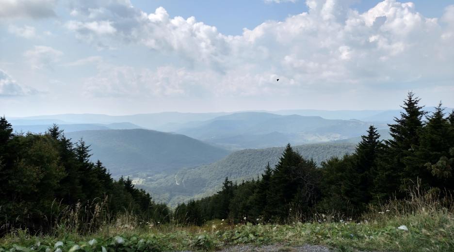 IMG_20150905_145950767_HDR.jpg