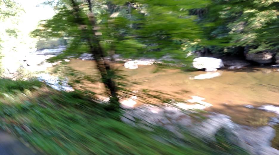 IMG_20150906_093836409.jpg
