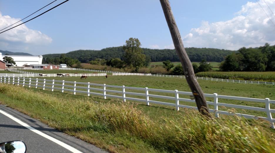 IMG_20150906_113044140.jpg