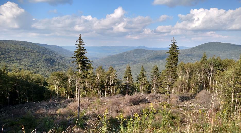 IMG_20150906_171350053_HDR.jpg