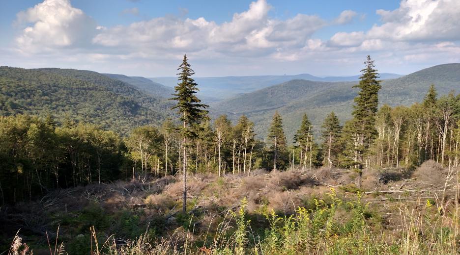 IMG_20150906_171404883_HDR.jpg