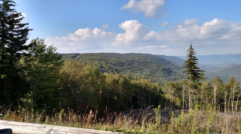 IMG_20150906_171759694_HDR.jpg