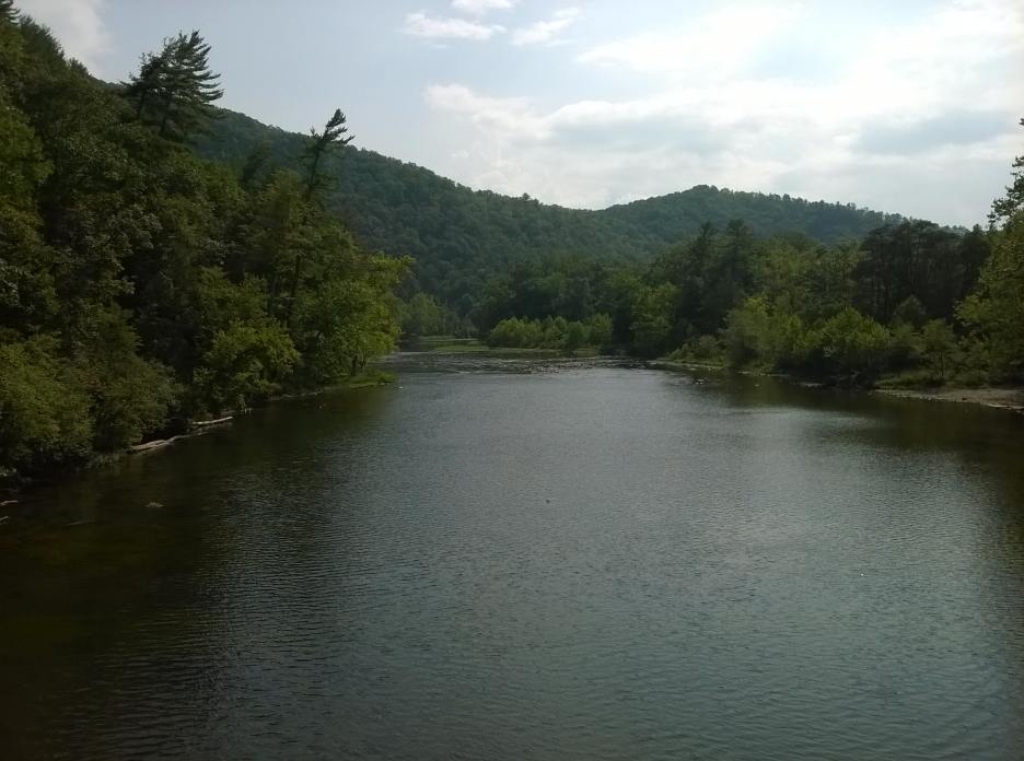 WP_20150905_002.jpg