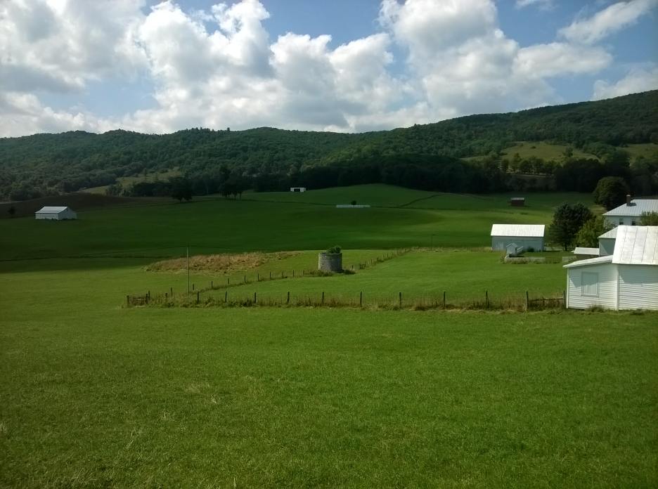 WP_20150906_026.jpg