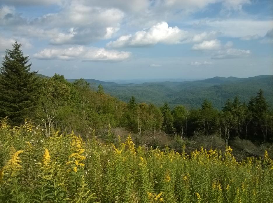 WP_20150906_038.jpg