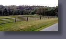 IMG_20150905_111907476.jpg