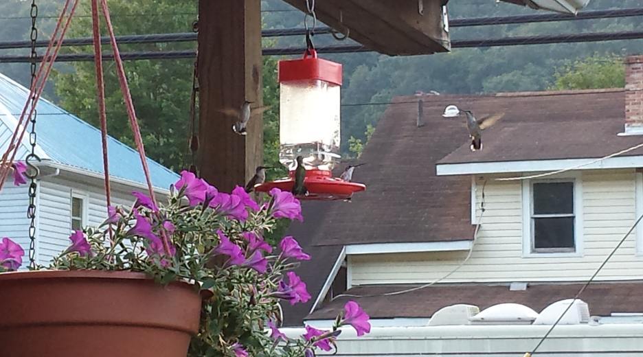 20170903_185414.jpg