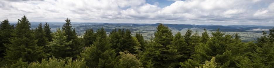 L4000970-Pano-Edit.jpg