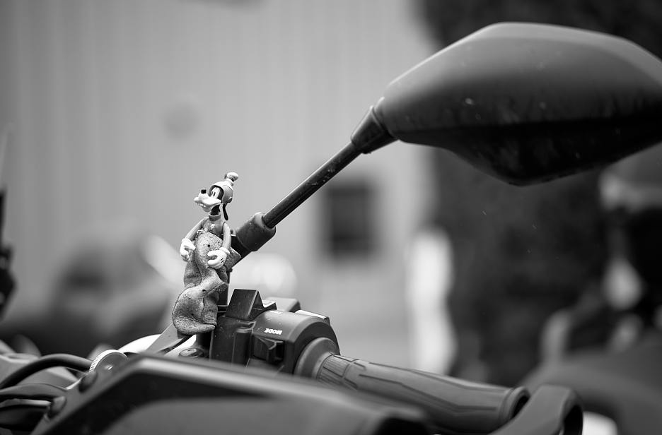 L5000756.DNG.p.jpg
