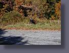 ss2001-6.jpg