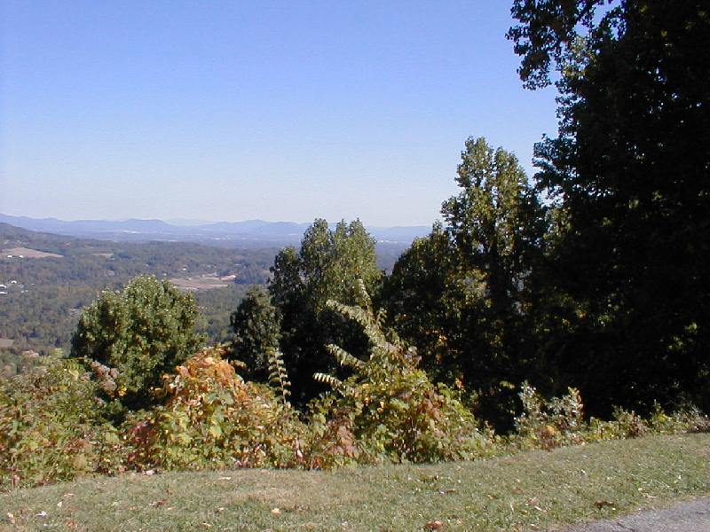 ss2001-1.jpg