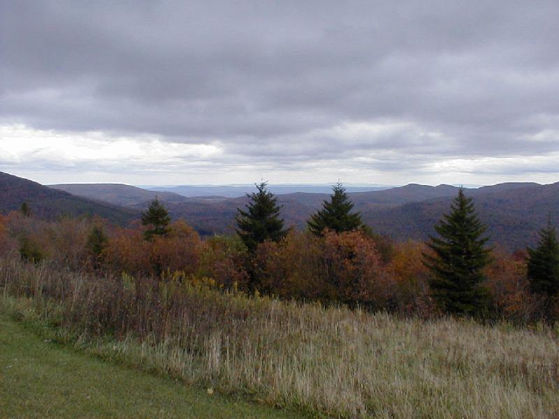 ss2001-28.jpg