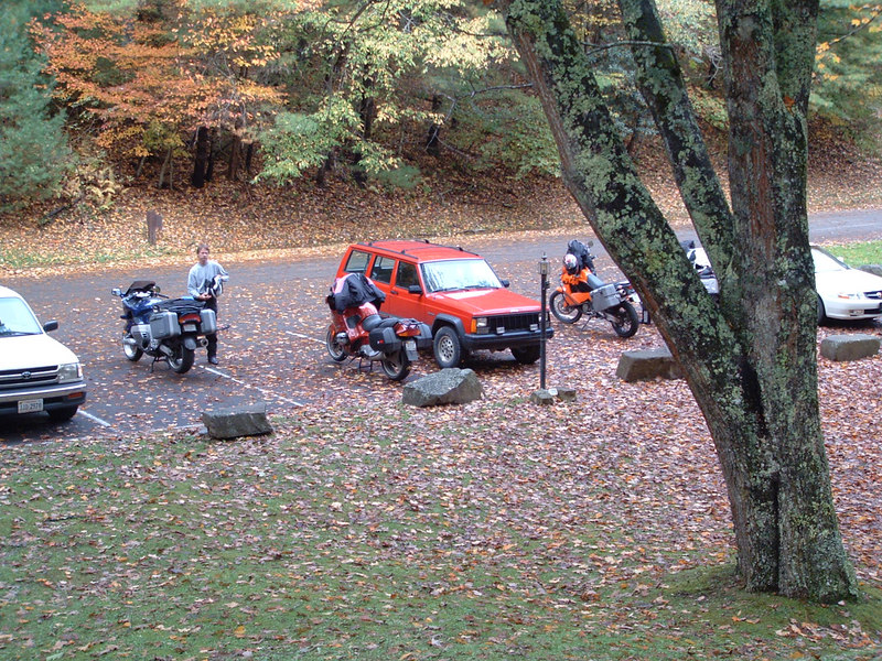 102747759-L.jpg