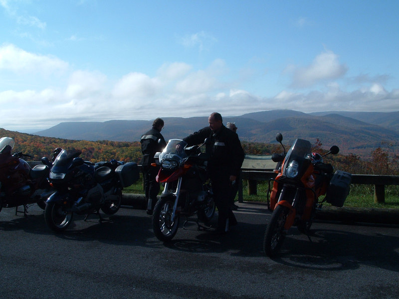 102747784-L.jpg