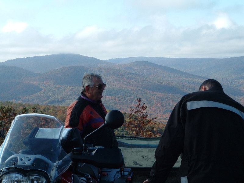 102747788-L.jpg