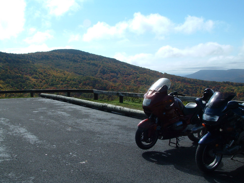 102747791-L.jpg