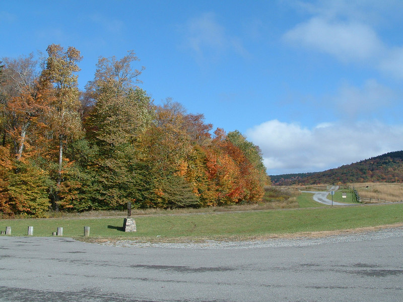 102747807-L.jpg