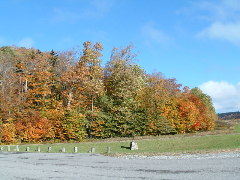 102747808-L.jpg