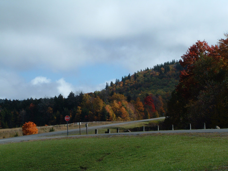 102747818-L.jpg