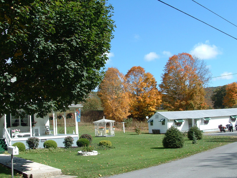 102747843-L.jpg