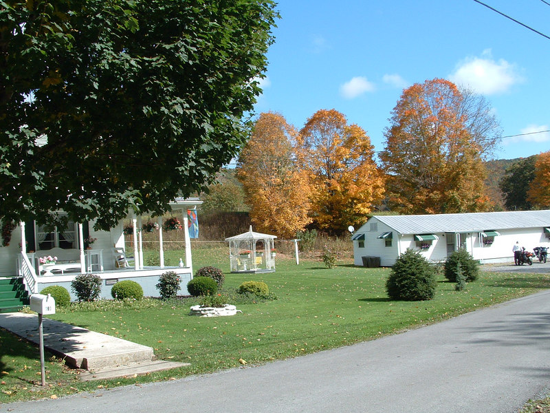 102747853-L.jpg