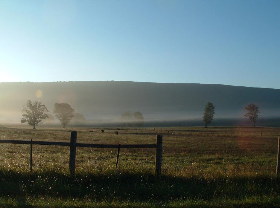 205755726-o.jpg