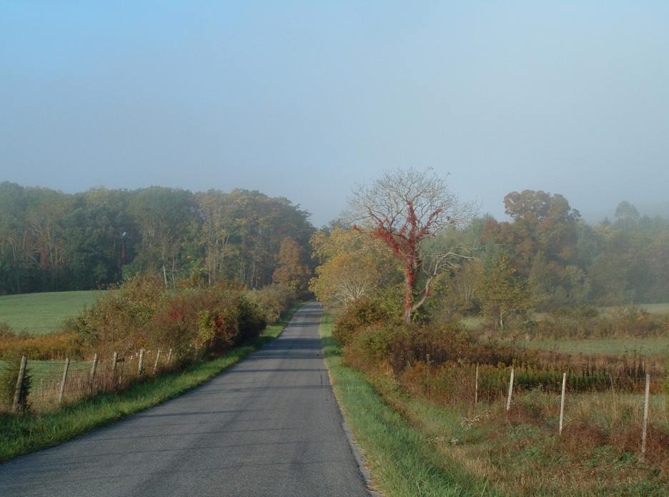 205756024-o.jpg