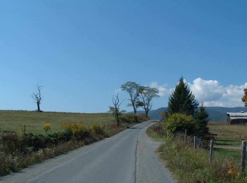 205756908-o.jpg