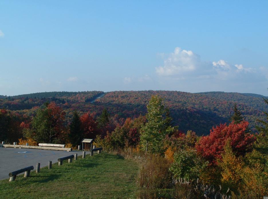 205757336-o.jpg