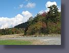 ed_0808.jpg