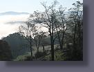 img_0795.jpg