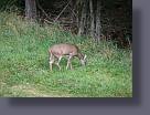img_0798.jpg