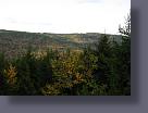 img_0806.jpg