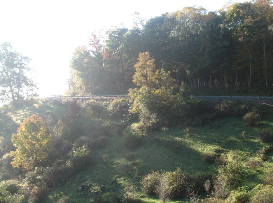 ed_0794.jpg