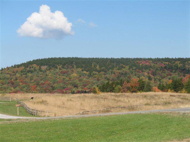 ed_0807.jpg