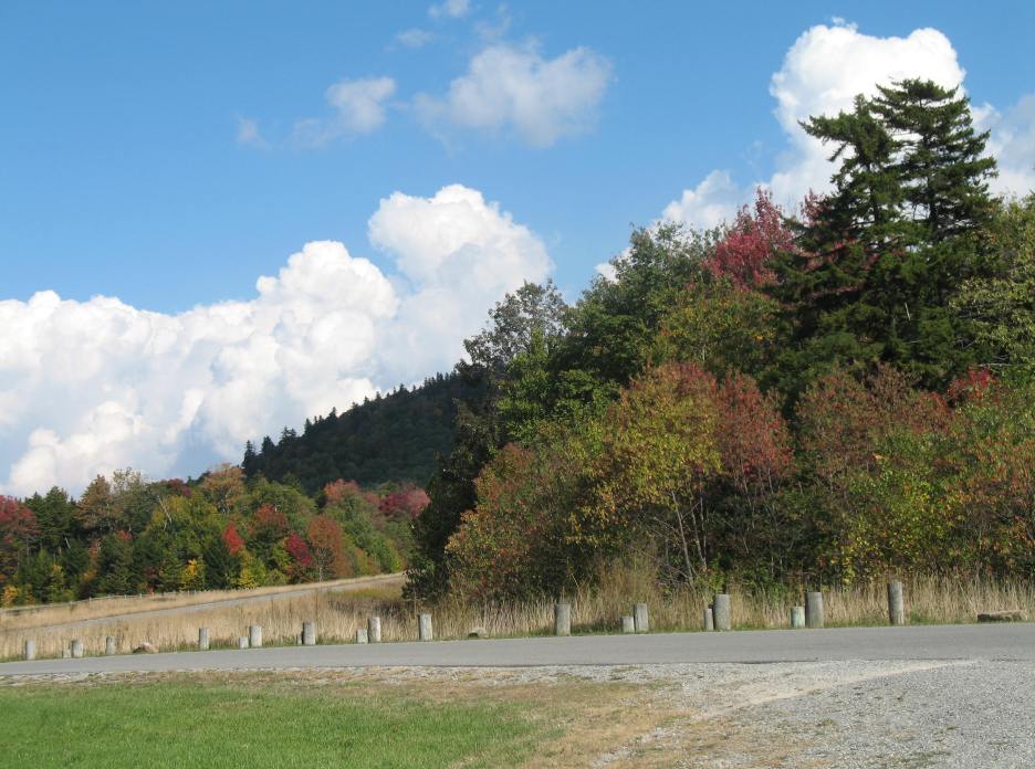 ed_0808.jpg