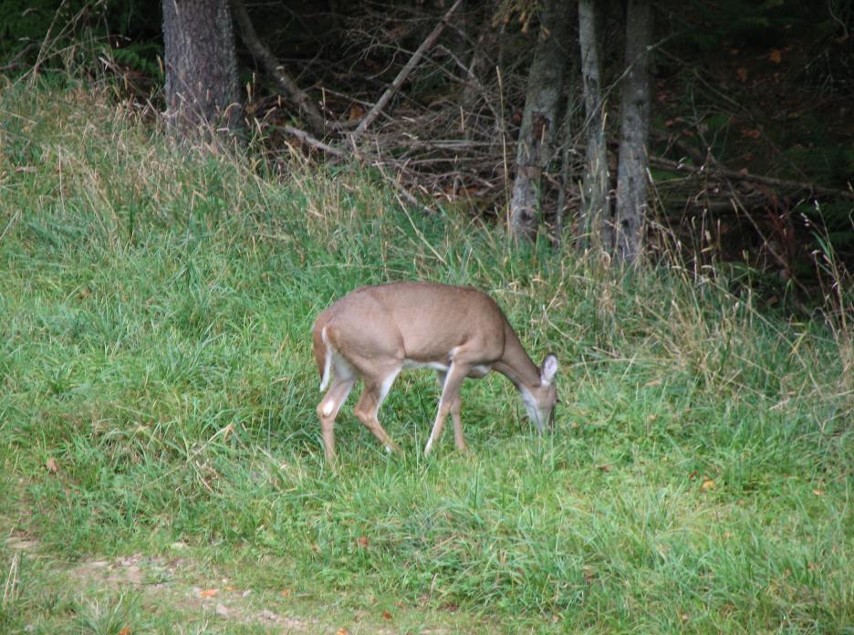 img_0798.jpg